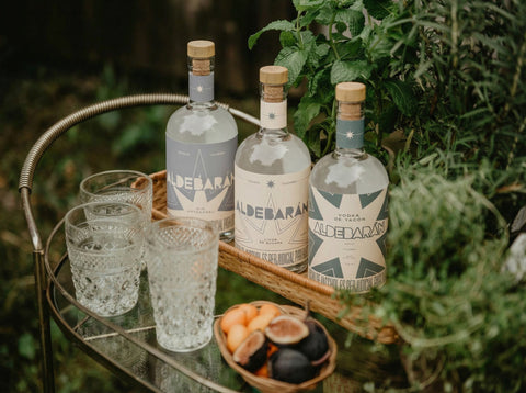 Botellas de Gin, Brandy de gulupa y Vodka de Yacón, producidos por Aldebarán en Duitama Boyacá.