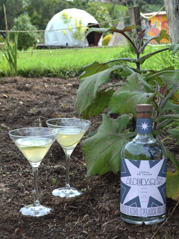 Vodka de Yacón, licor destilado del tubérculo andino Yacón, sin aditivos. Servido como coctel con rodajas de limón y hard seltzer de gulupa.